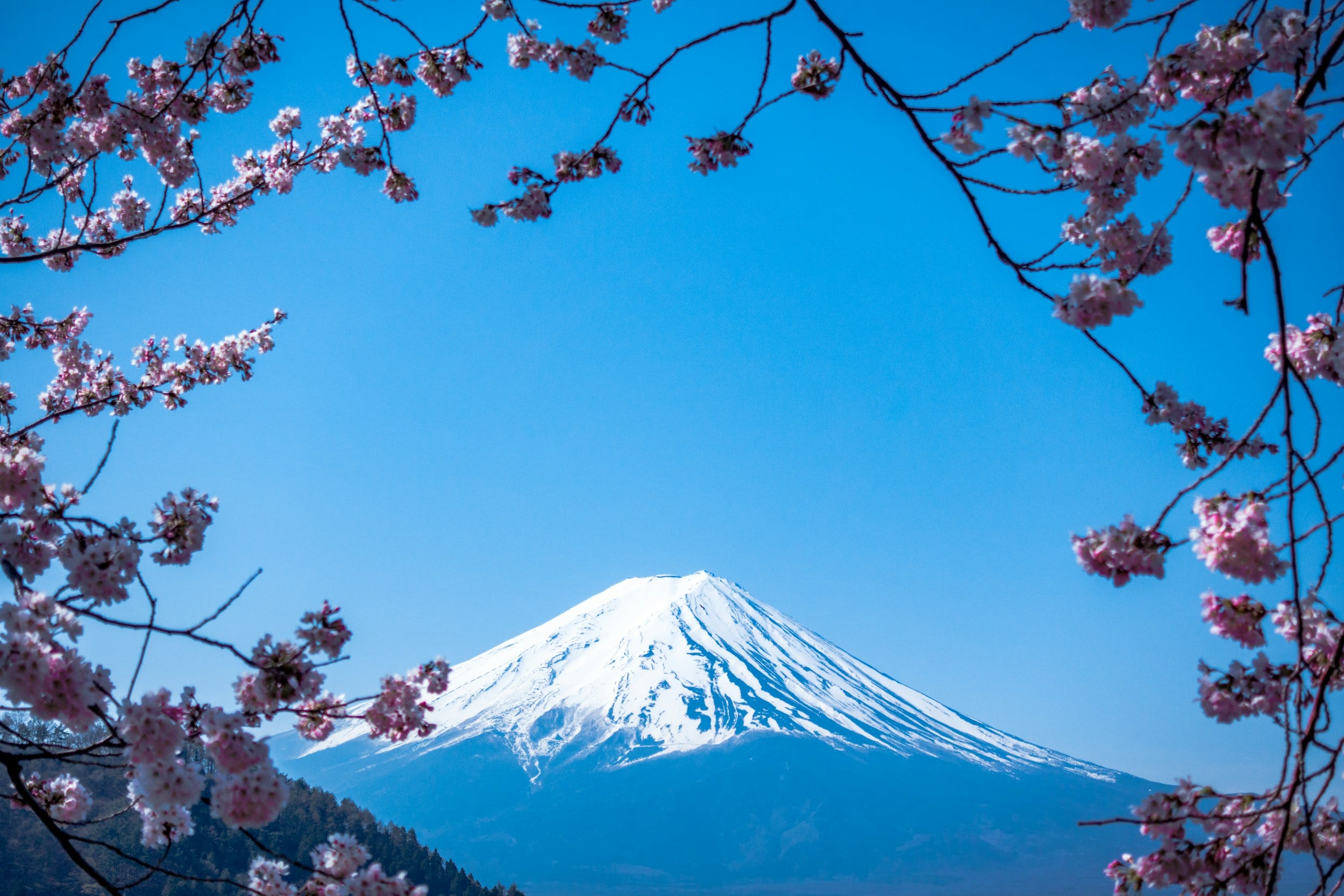 Blue mountain landscape