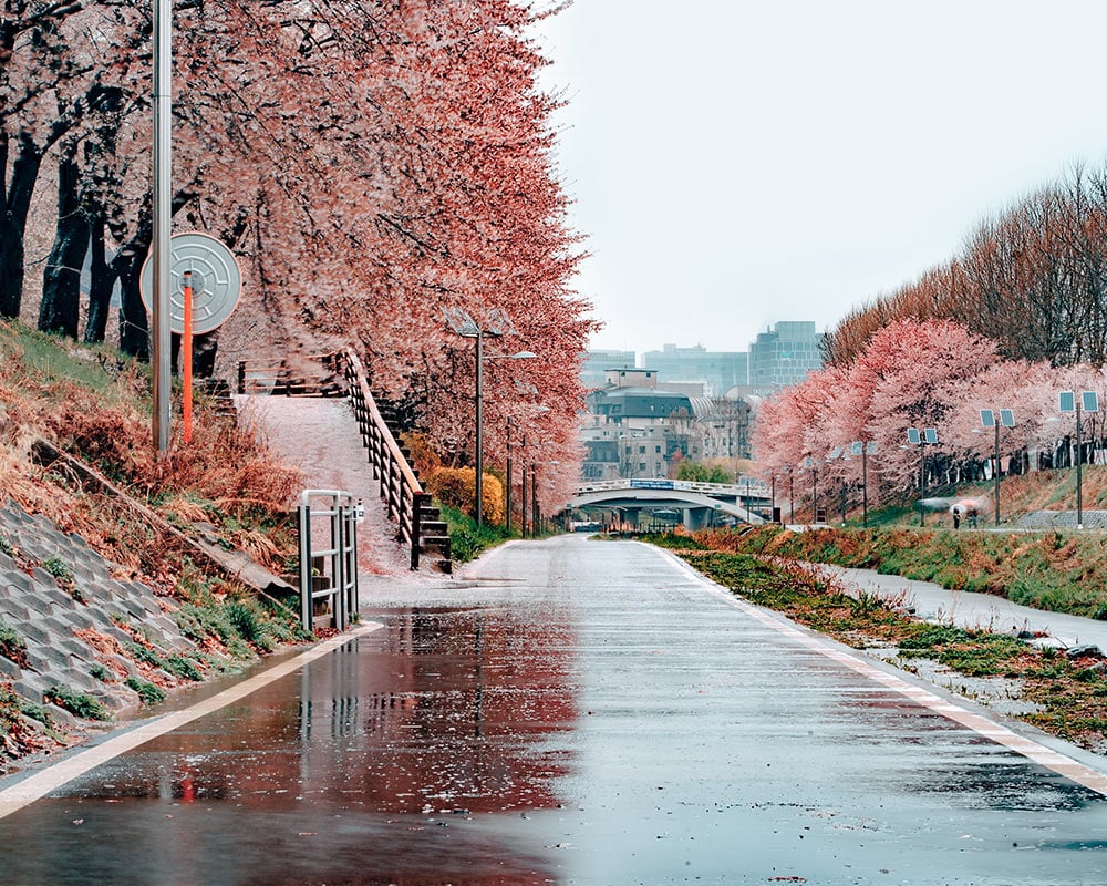 South Korea